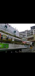 Blk 18 Toh Yi Drive (Bukit Timah), HDB 3 Rooms #636425571